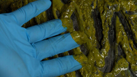 Waarom schermprinters een filtratiesysteem zouden moeten gebruiken